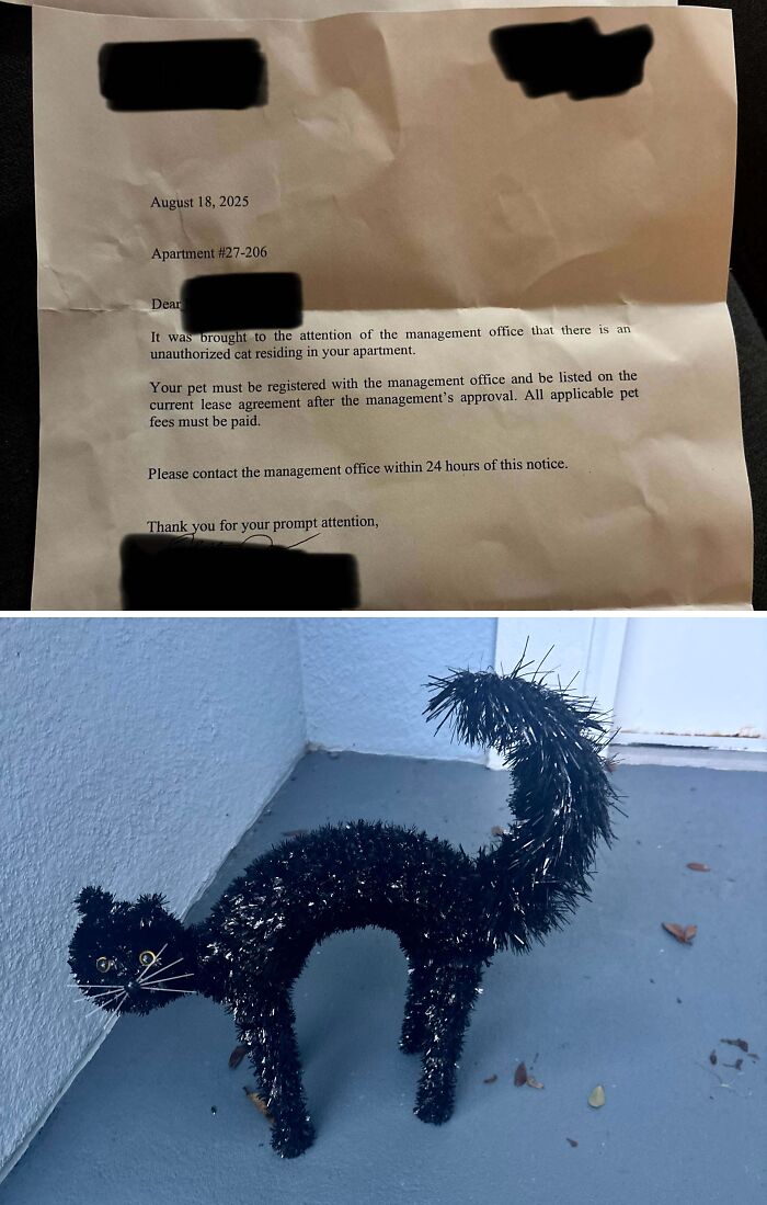 A notice about an unauthorized cat in an apartment with a picture of a decorative black cat statue, highlighting horrible landlords.
