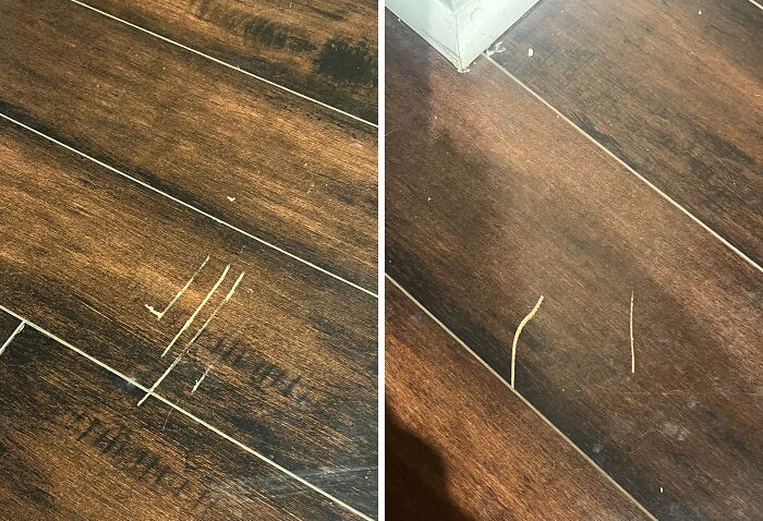 Close-up of hardwood floors with multiple deep scratches, indicative of damages caused by horrible landlords or previous tenants.