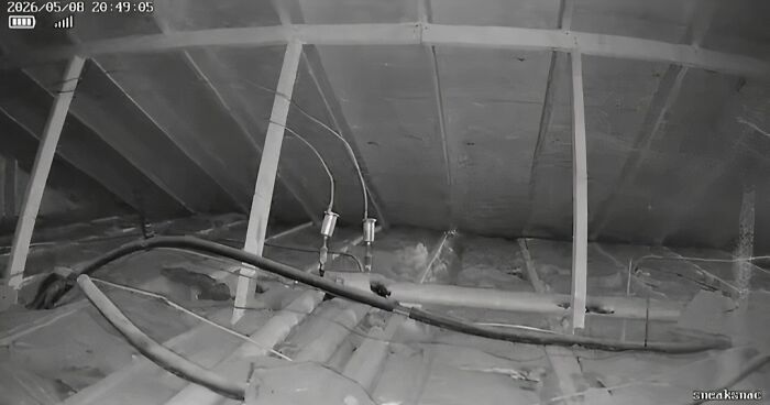 A night-vision security camera view of an attic, revealing a horrible landlord's invasion of privacy.