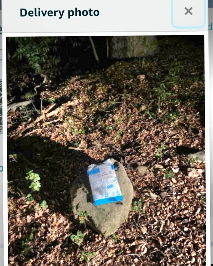 A delivery photo showing a small package left on a rock amidst dry leaves and sparse plants at night, an example of delivery fails.