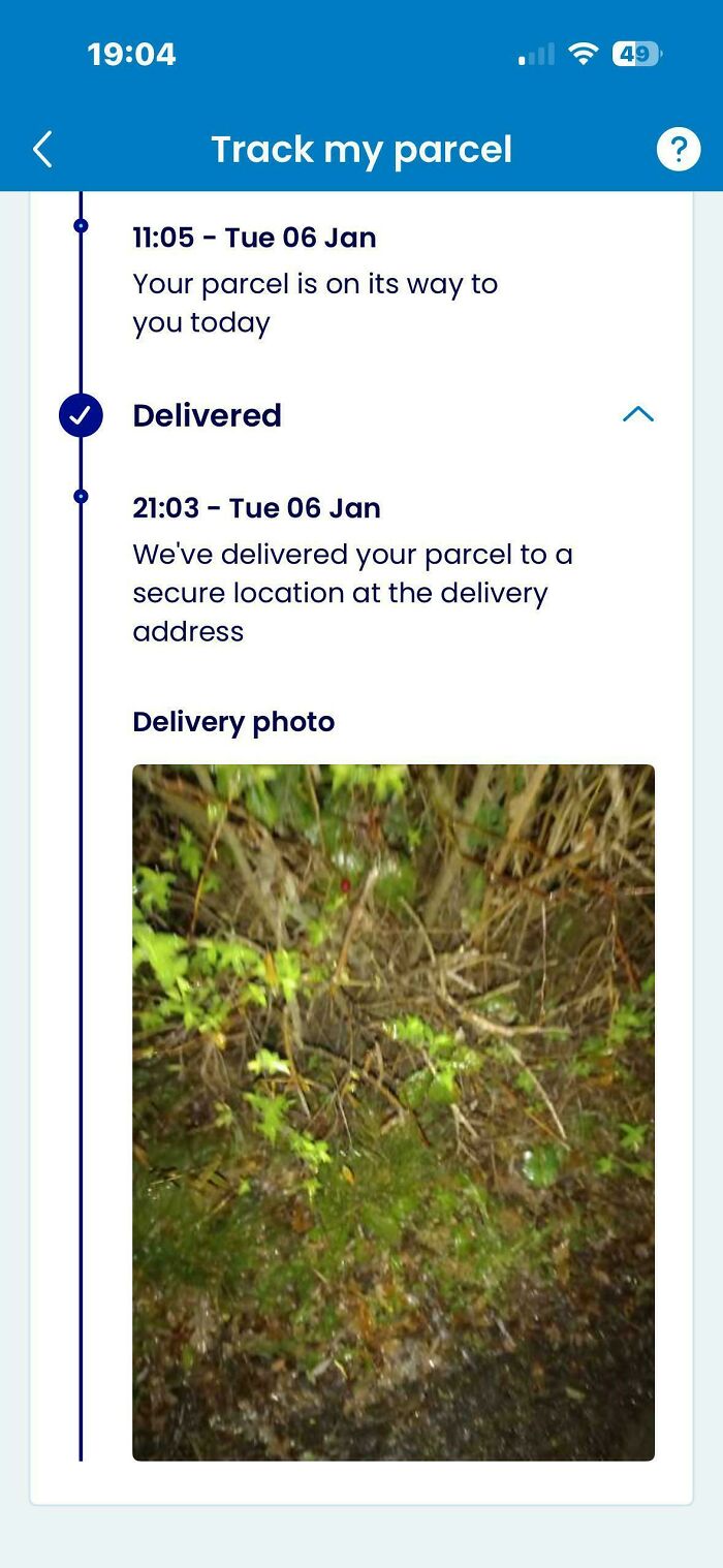 A screenshot of a parcel tracking page showing a delivery photo of a package left in dense bushes, highlighting delivery fails.