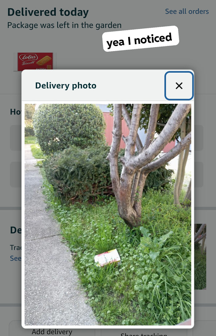 A delivery photo from an online order showing a small package barely visible on the ground in a garden, illustrating delivery fails.