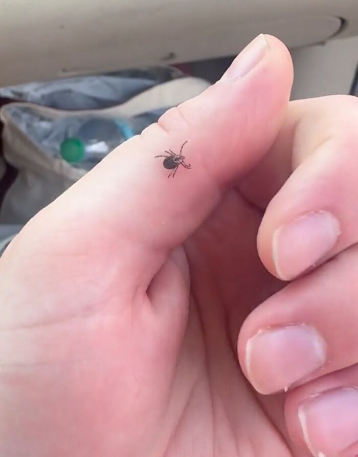A tiny tick crawling on a person's thumb, a small but significant thing that should be left alone.