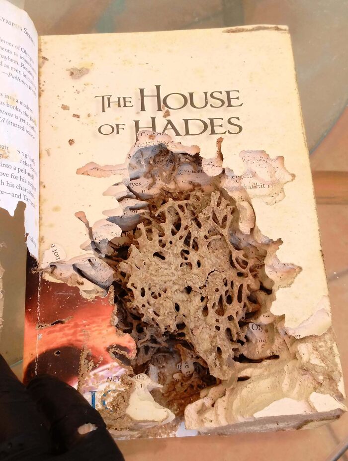 A heavily damaged copy of The House of Hades, showing extensive holes and tunnels in the pages. Things that should be left alone.