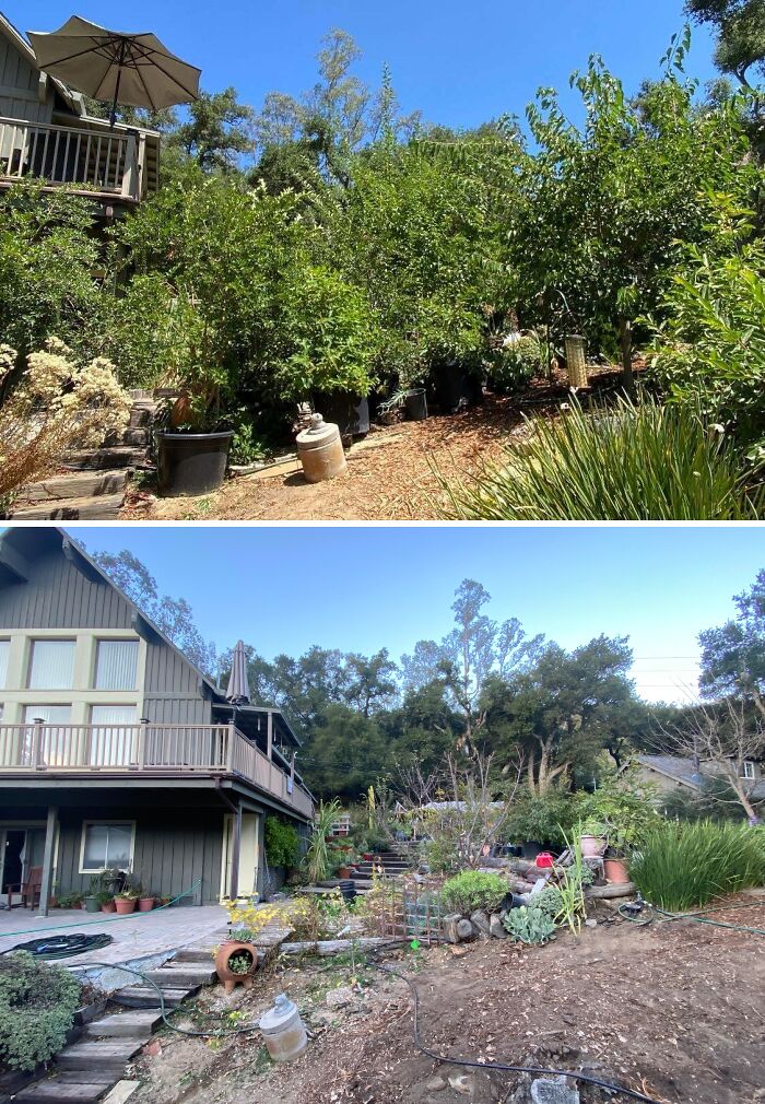 Before and after images of an overgrown yard transformed, illustrating how a landlord could improve a tenant's life.