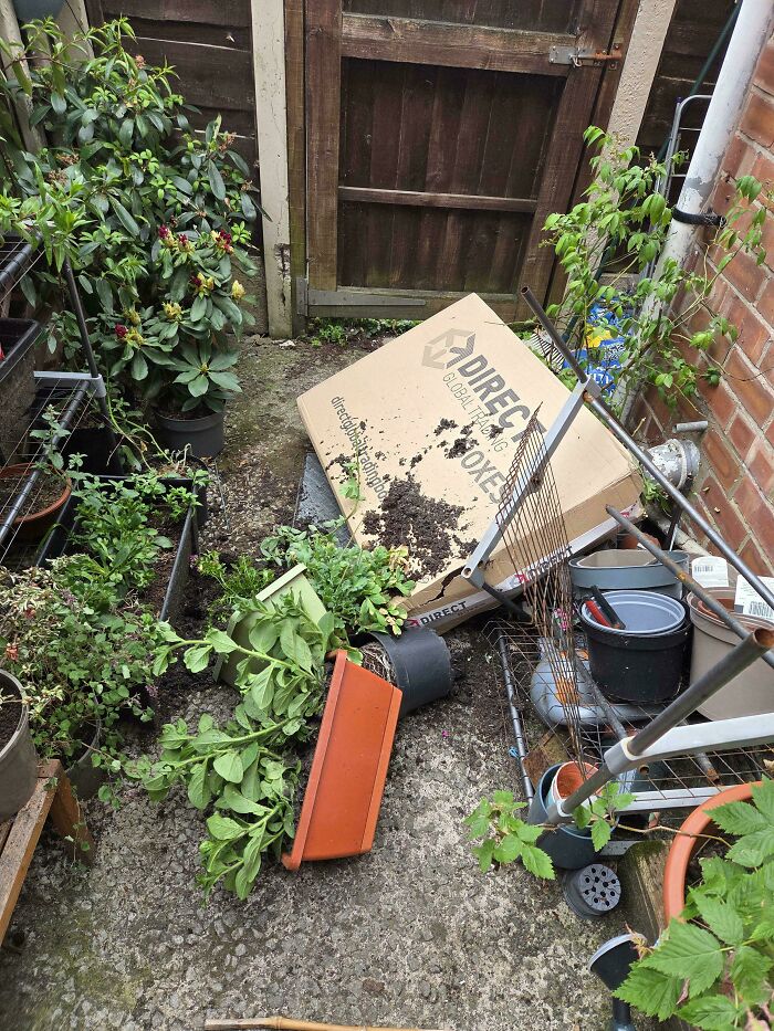 A large delivery box toppled over in a garden, scattering plants and soil, depicting a messy delivery fail.
