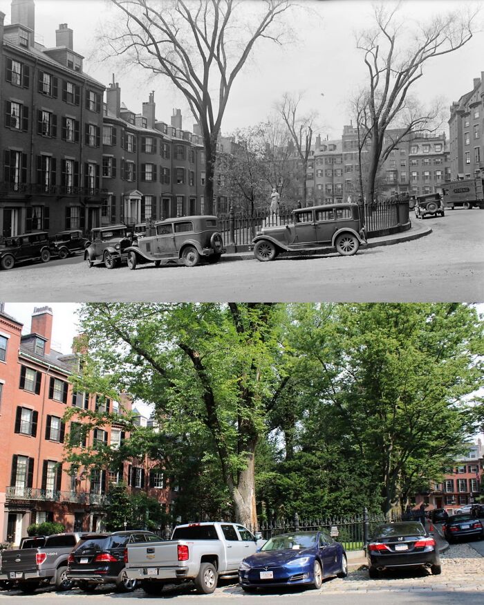 Before-and-after photos show how America has changed, specifically the street, trees, and parked cars in this urban setting.