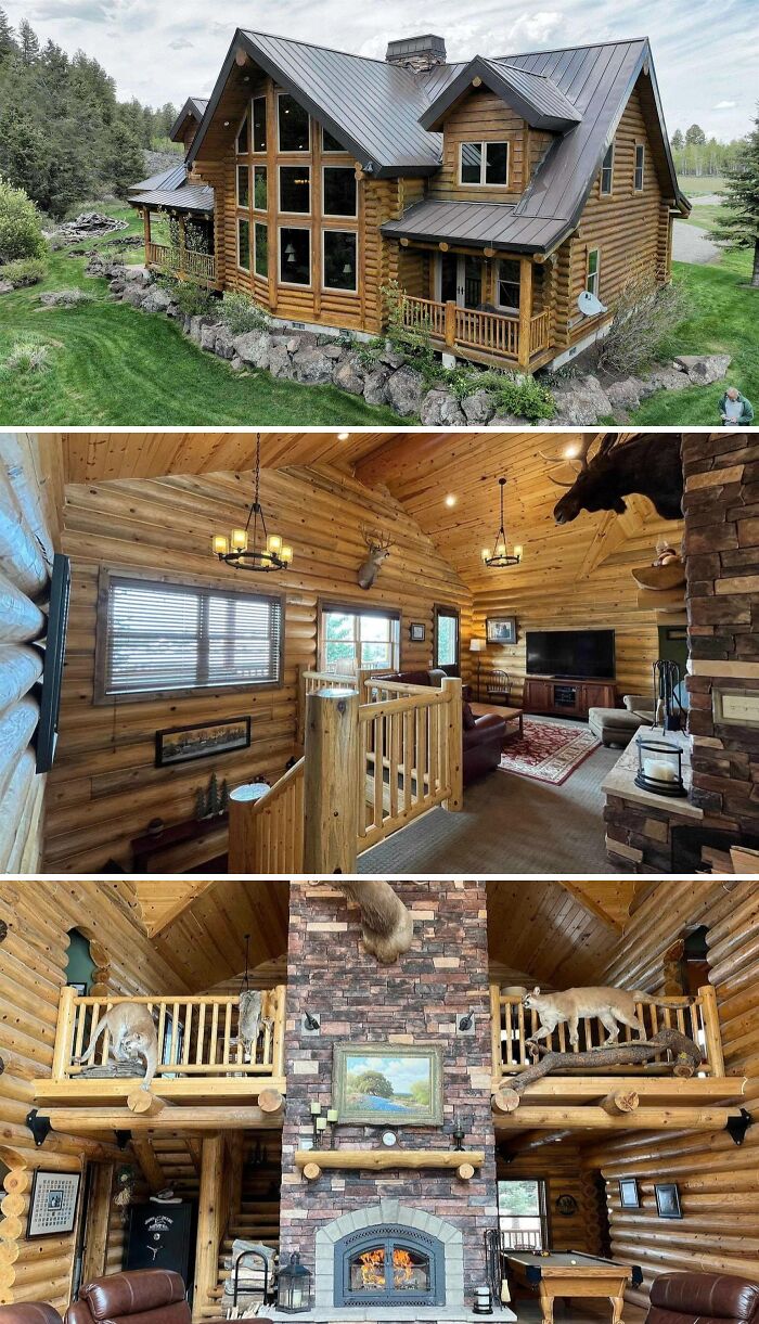 A large log cabin exterior nestled in a lush landscape, an inviting living room with wood finishes, and a fireplace with mounted animal heads, showcasing unusual homes.