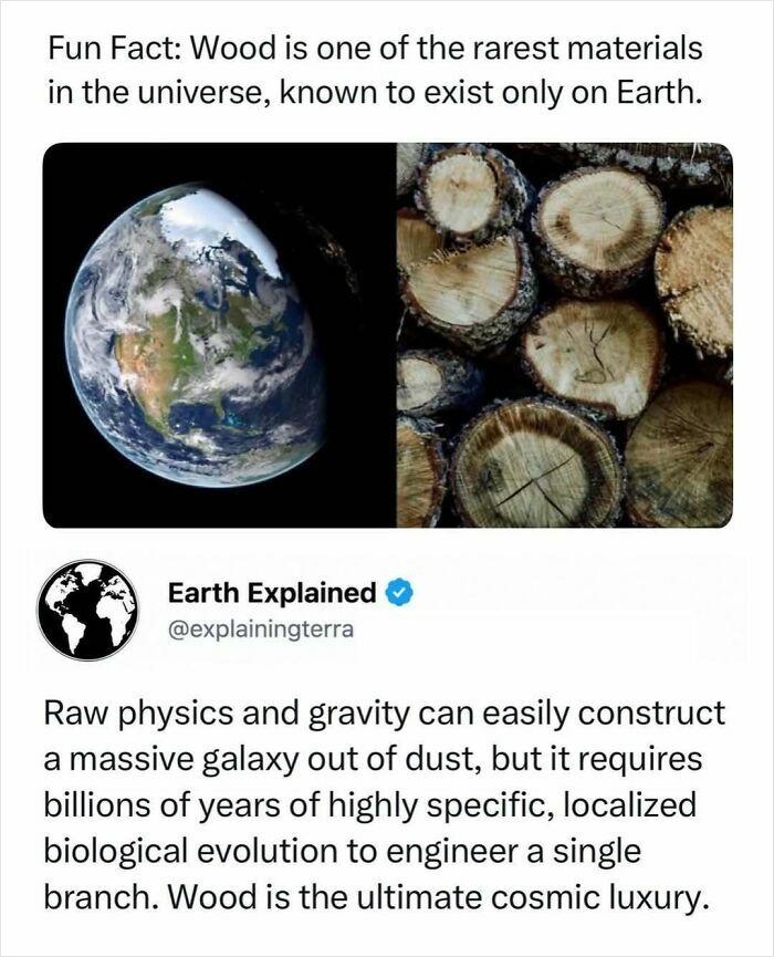 An image with interesting facts about wood being a rare material, known to exist only on Earth.