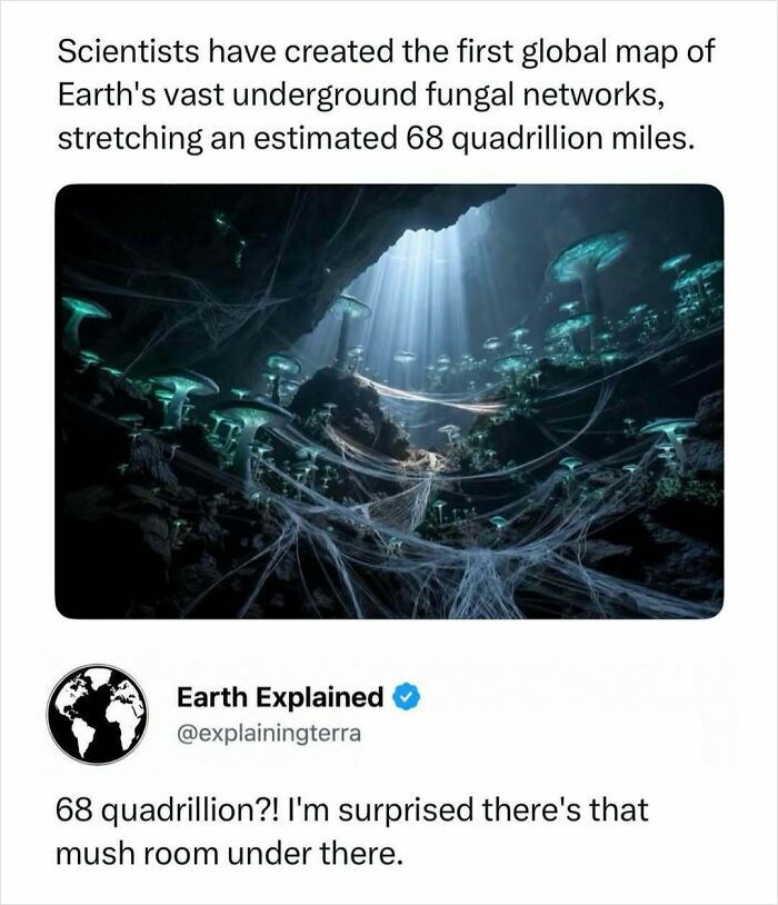 An ethereal, glowing underground mushroom forest, highlighting interesting facts about fungal networks.