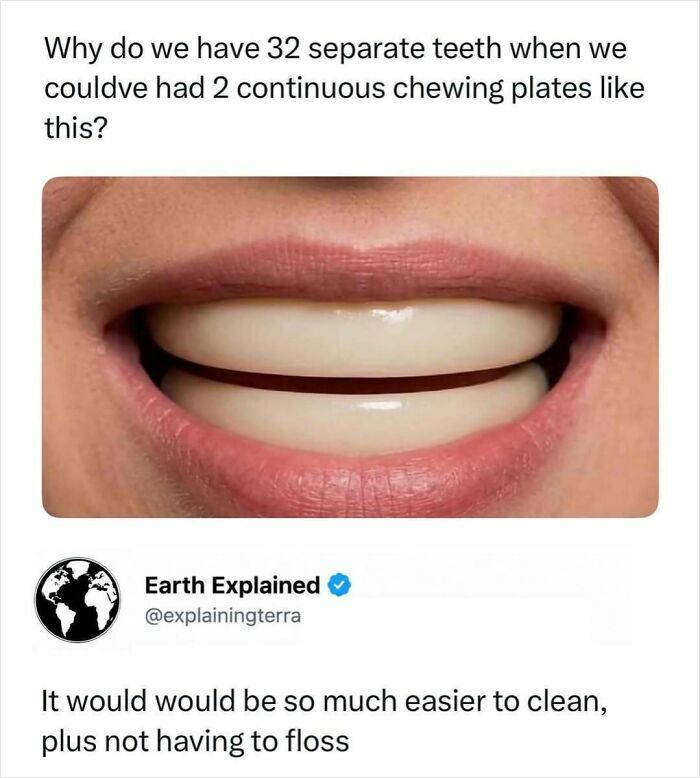 A close-up image of a person's mouth with two continuous chewing plates instead of separate teeth, an interesting fact.
