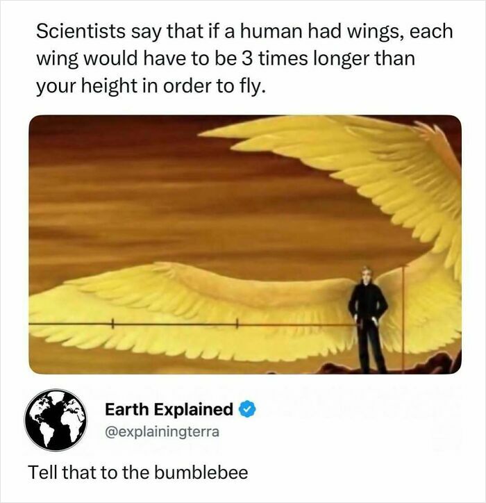 An image showing interesting facts about human wings and their required length for flight.