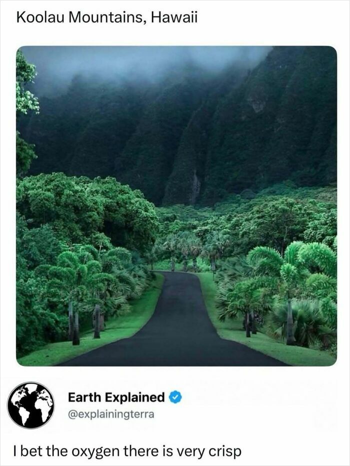A winding road through lush, green mountains and trees in Hawaii, illustrating interesting facts about nature.