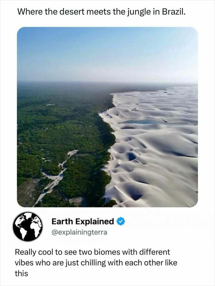 An aerial view of the meeting point of a lush green jungle and a vast white desert in Brazil, an interesting fact about biomes.