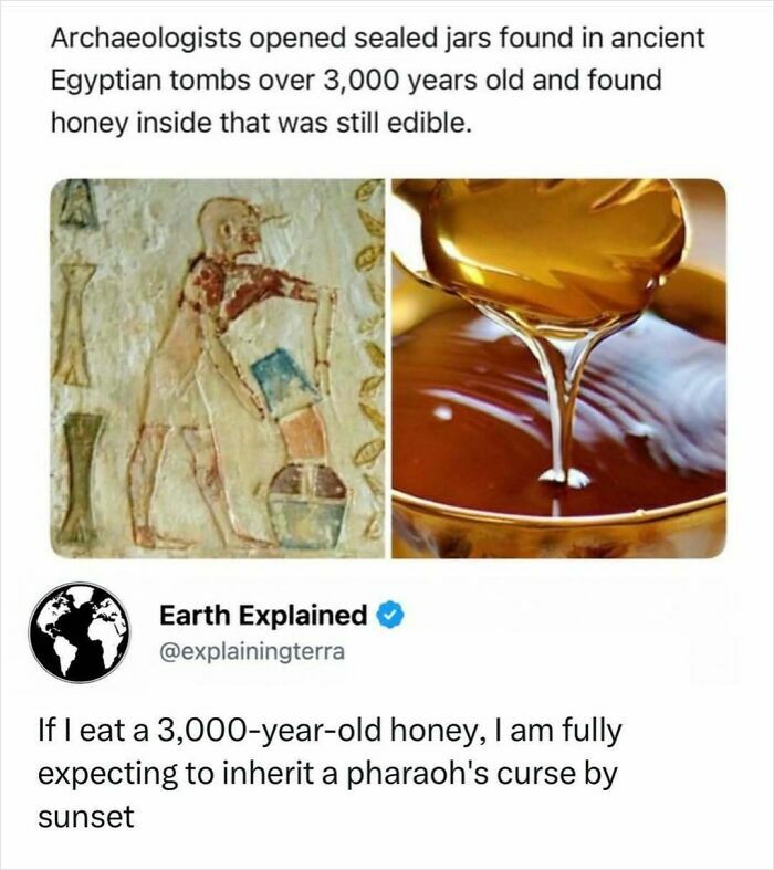 A split image showing ancient Egyptian tomb paintings and a spoonful of golden honey, an interesting fact about edible 3,000-year-old honey.