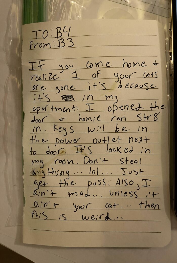 A funny neighbor note about a cat entering a neighbor's apartment, with instructions for retrieval.