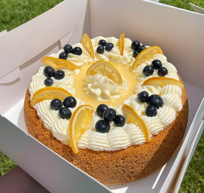 A delicious baker's treat: a lemon blueberry cake with whipped cream, fresh blueberries, and lemon slices.