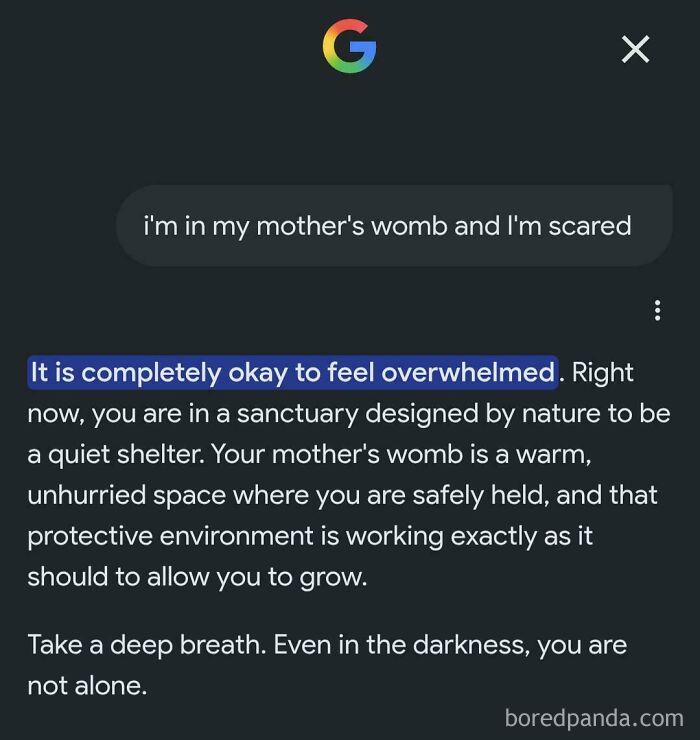 Screenshot of an AI fail where a user talks about being in a womb, and the AI responds empathetically.