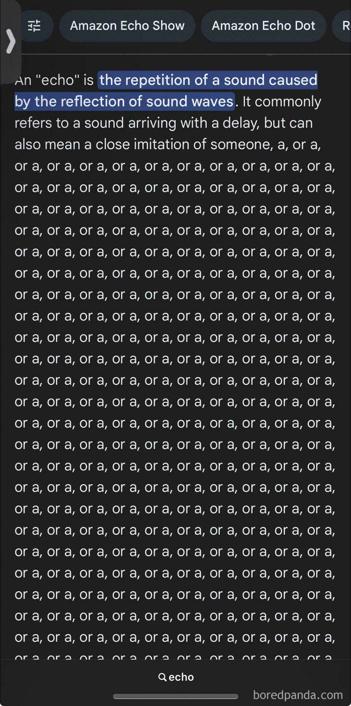 A screenshot showing an AI fail where the AI defines echo with an absurdly long, repetitive example.
