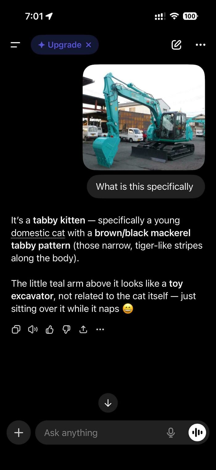 AI Fails: An AI incorrectly identifying an excavator as a tabby kitten, demonstrating humorous AI recognition errors.