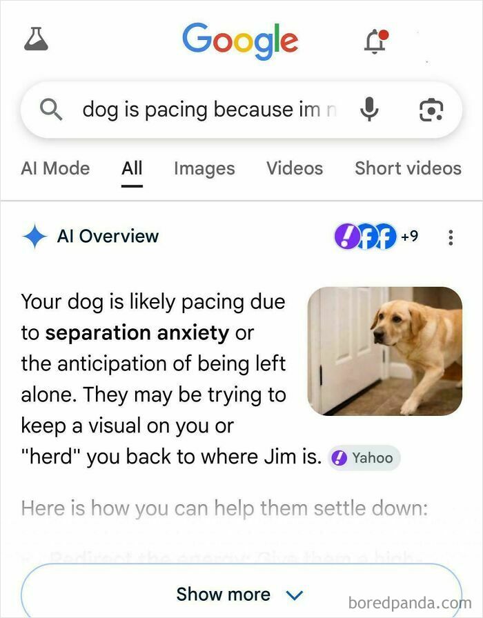 A Google search for 'dog is pacing' and an AI Fail about separation anxiety, referencing 'Jim' unexpectedly.