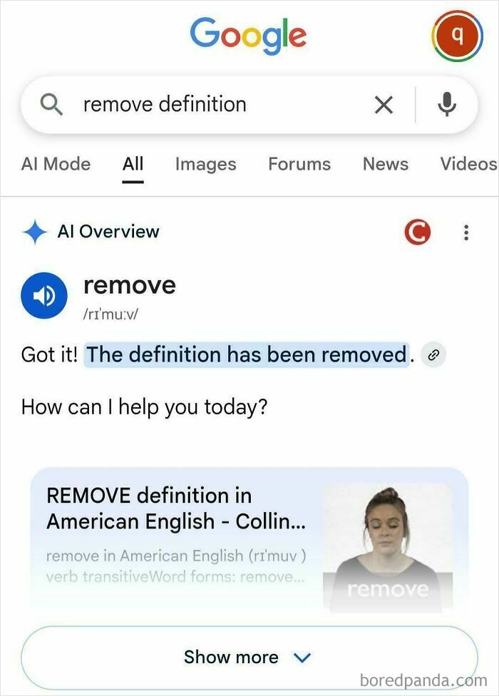 A Google search for 'remove definition' showing an ironic AI Fail, stating 'The definition has been removed.'