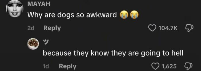 Unhinged TikTok comments with a user asking why dogs are awkward and a reply about them going to hell.