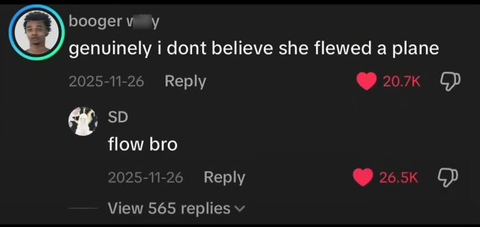 TikTok comments showing funny and unhinged replies discussing whether someone flew a plane.