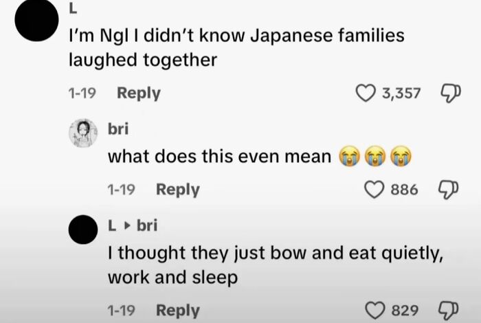 Funny and unhinged TikTok comments from a user surprised Japanese families laugh together.