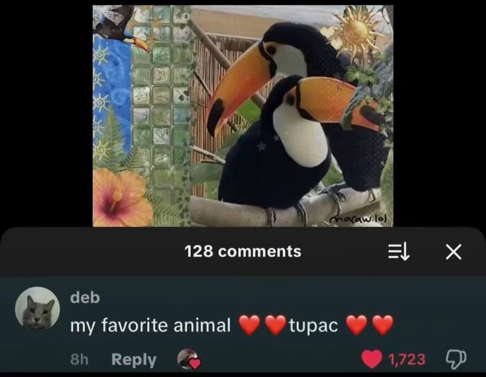 Image shows two toucans on a branch with tropical scenery. Below is a TikTok comment from user deb saying my favorite animal tupac.