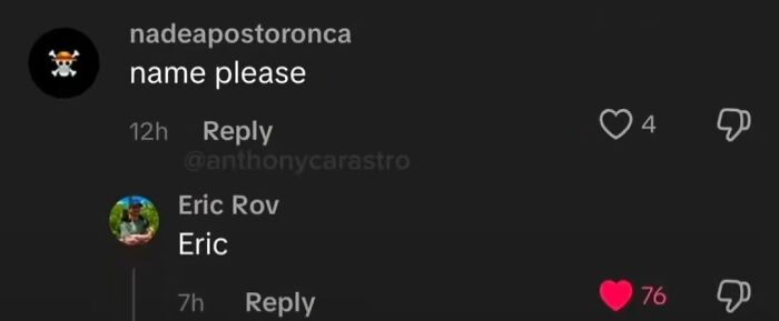 Screenshot of funniest TikTok comments: One user asks for a name, and another user named Eric Rov replies simply, Eric, garnering 76 likes.
