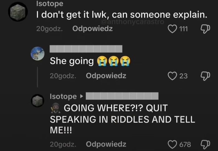 Screenshot of funny TikTok comments with a user asking for an explanation and an unhinged, cryptic reply.