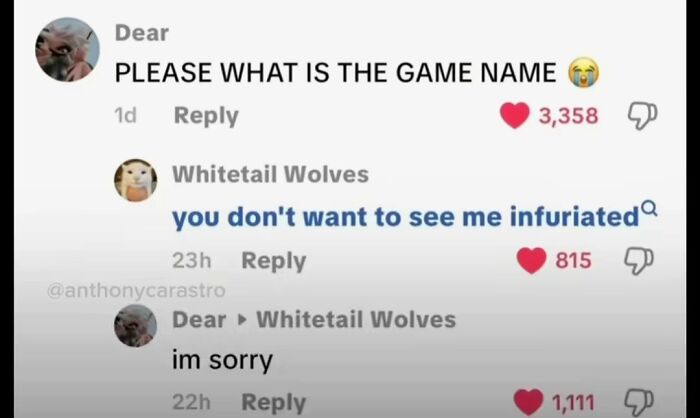Screenshot of funny TikTok comments with a user asking for a game name and an unhinged, intimidating reply.