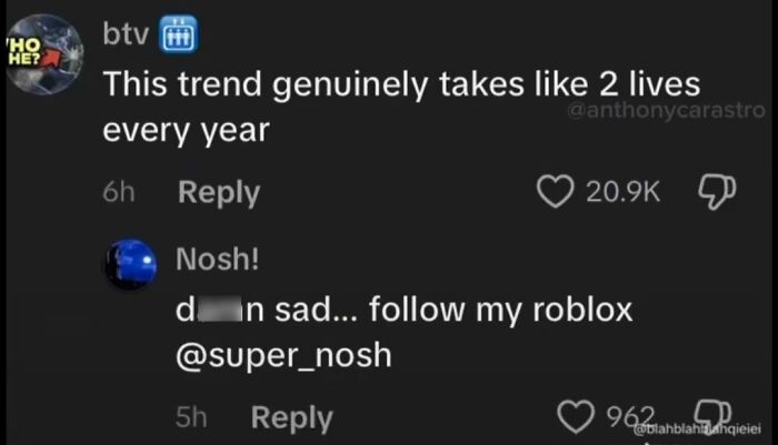 Screenshot of unhinged TikTok comments, including a user promoting their Roblox account after a somber comment.