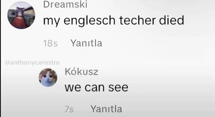 Screenshot of funny TikTok comments with a sarcastic reply to a user's misspelt tragic news.