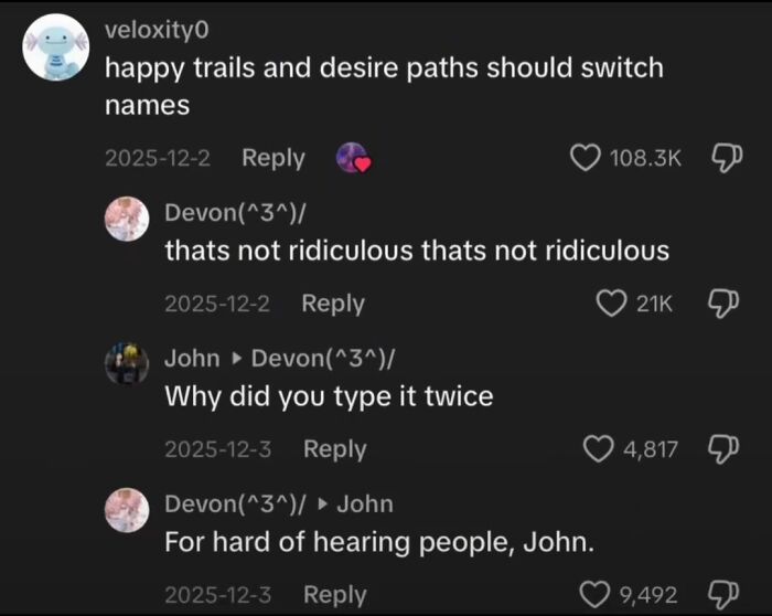 A screenshot of funny TikTok comments discussing swapping names for happy trails and desire paths.