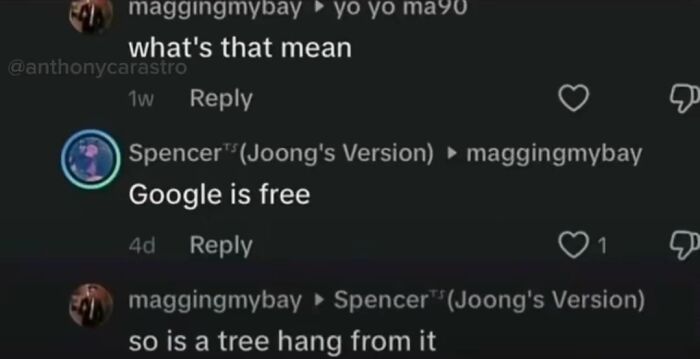 Screenshot of TikTok comments showcasing funny, unhinged exchanges and replies.