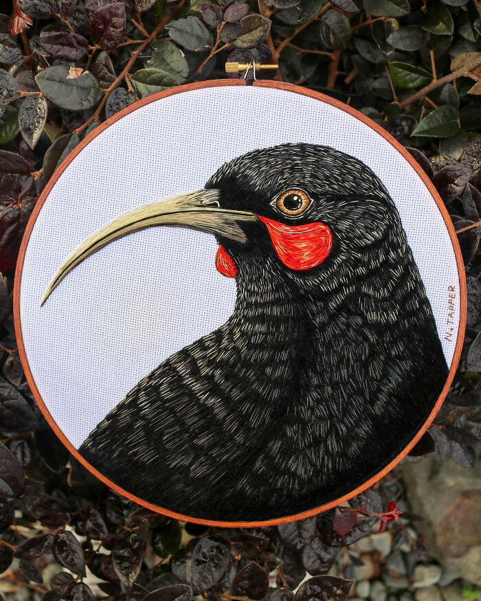 A detailed embroidery hoop art depicting a black bird with a long beak and red markings on a white background