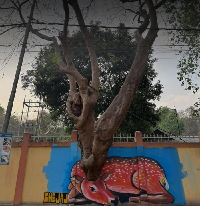 A tree growing over a wall with a painted deer, creating an interesting optical illusion, a truly d**n interesting sight.