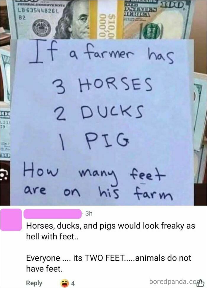 A social media post presenting a riddle about farm animals and feet, leading to an iconic self-burn in the comments.