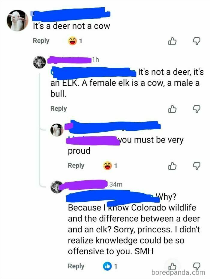A comment thread demonstrating an iconic self-burn, where one user is overly confident about deer vs. elk knowledge.