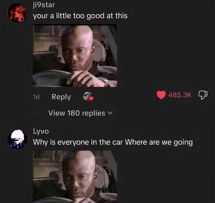 A meme with a person in a car and a savage comment questioning why everyone is in the car.