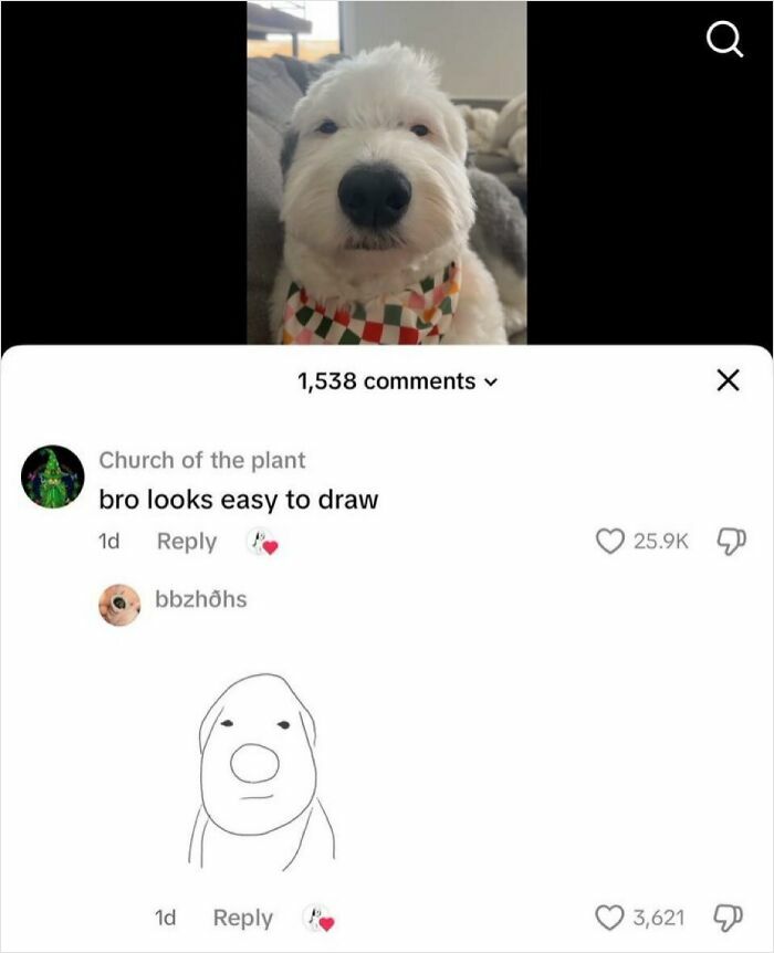 Close-up of a white fluffy dog, with a savage comment and a humorous drawing of the dog.