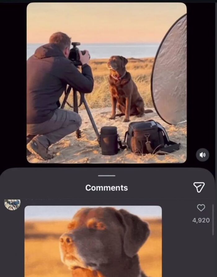 A photographer shooting a dog on a beach, with an implied savage comment about the elaborate setup.