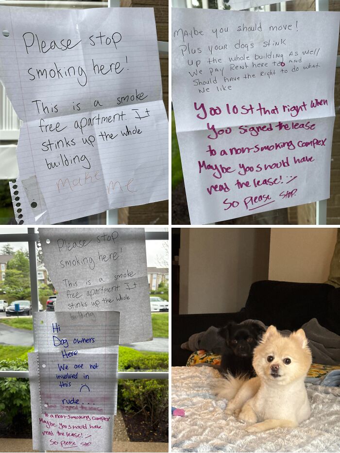 A collage of passive-aggressive notes about smoking and dog smell in an apartment complex, highlighting issues with basic human decency.