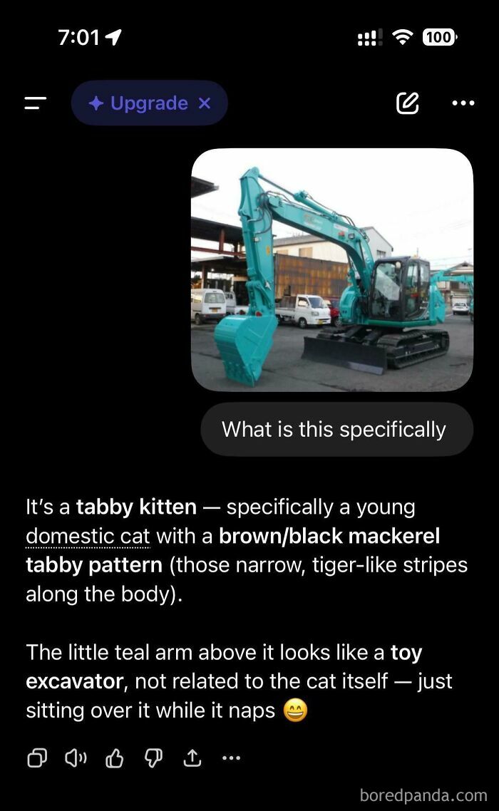 AI Fails: An AI incorrectly identifying an excavator as a tabby kitten, demonstrating humorous AI recognition errors.