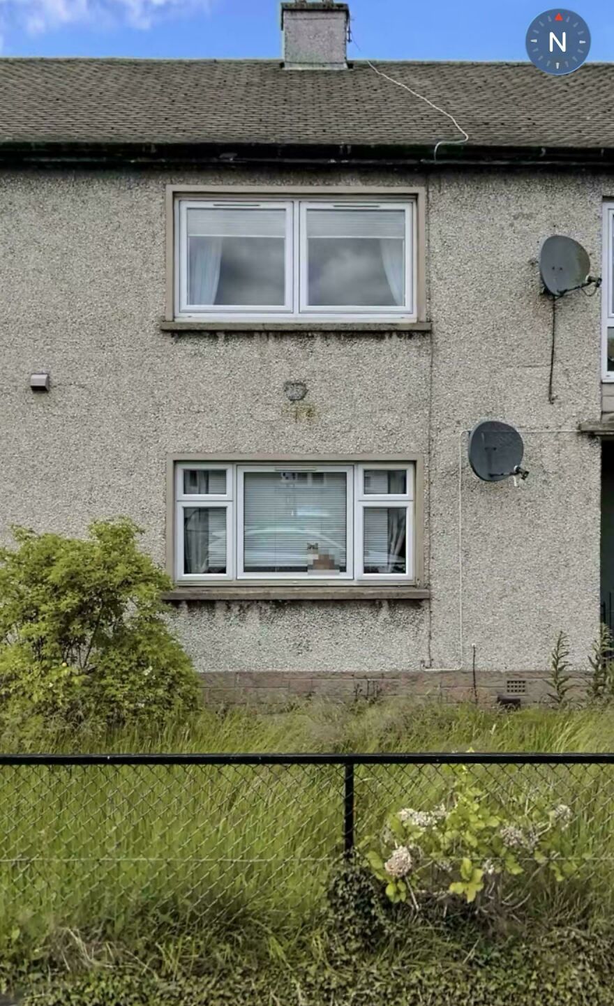A funny Google Street View photo capturing a cat curiously peeking out of a window in a residential building.