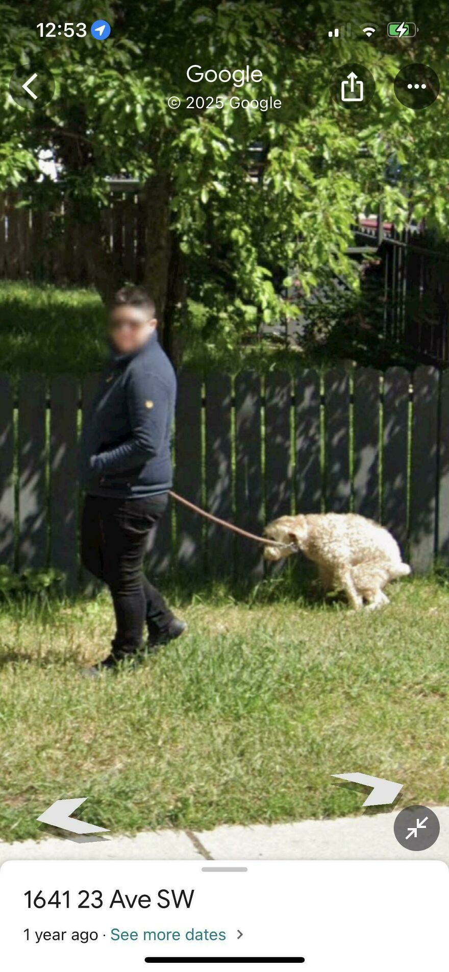 A funny Google Street View moment showing a dog defecating on a lawn while on a walk with its owner.