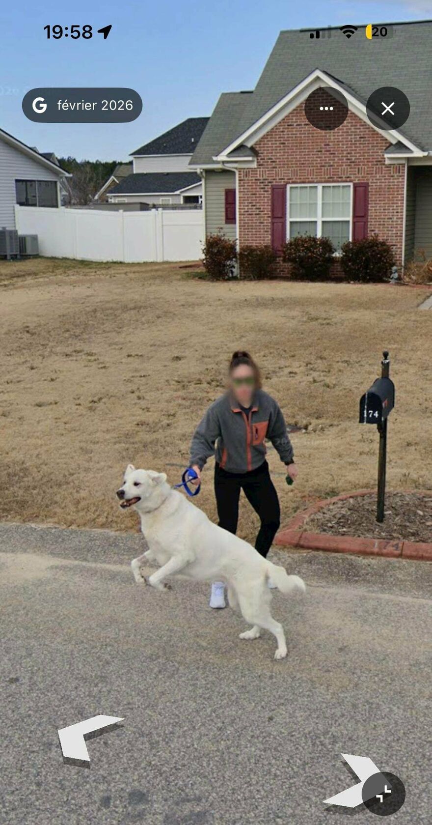 A person with a dog jumping on a leash, captured in a funny Google Street View photo, highlighting bizarre street view moments.