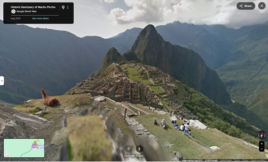 A beautiful Google Street View photo of Machu Picchu with a llama resting on a ridge, showcasing the historic sanctuary.